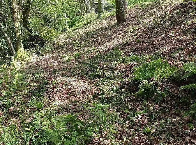 Do Río Сasa de vacaciones Dumbría
