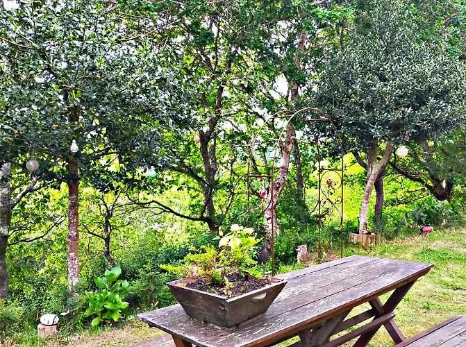 Do Río Сasa de vacaciones *