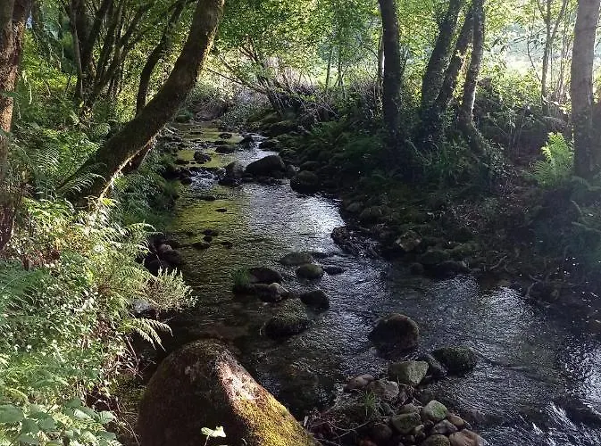 Do Río Сasa de vacaciones