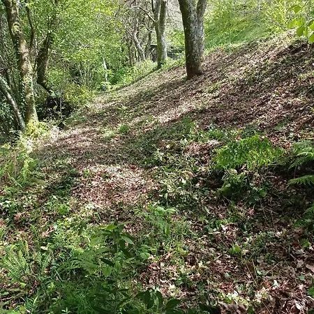 Do Rio Casa vacanze Dumbría